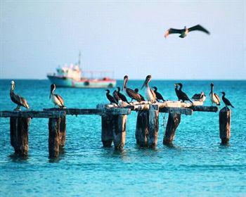 Hotel Wayak Holbox Zewnętrze zdjęcie